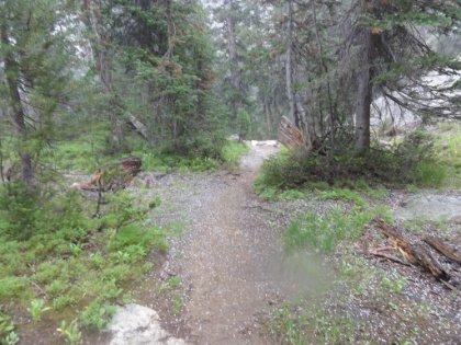 And then the hail storm hit. Marble sized hail pelting the ground hard enough to bounce, and cold enough to stick. I had to decide whether to find cover and wait out the storm (and risk having to setup camp in the storm in the dark) or press on. I decided to press on.
